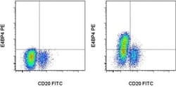 Invitrogen E4BP4 (NFIL3) Monoclonal Antibody (MABA223), PE, eBioscience