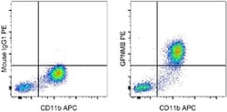 Invitrogen GPNMB Monoclonal Antibody (HOST5DS), PE, eBioscience:Antibodies:Primary