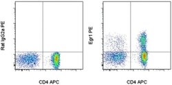 Invitrogen EGR1 Monoclonal Antibody (HEGR1DS), PE, eBioscience 100 Tests;