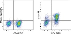 Invitrogen c-MAF Monoclonal Antibody (sym0F1), PE, eBioscience , Invitrogen
