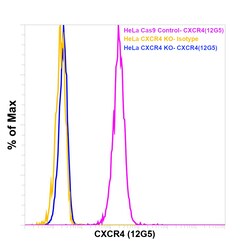 CD184 (CXCR4) Monoclonal Antibody (12G5), PE, eBioscience , Invitrogen