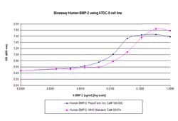 Gibco Human/Mouse/Rat BMP-2 Recombinant Protein, PeproTech 500 &mu;g | Buy Online | Gibco&trade; | Fisher Scientific