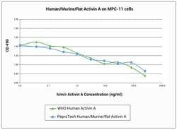 Gibco Human/Mouse/Rat Activin A Recombinant Protein, PeproTech 10 &mu;g | Buy Online | Gibco&trade; | Fisher Scientific