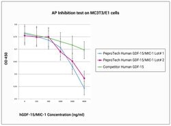 Gibco Human GDF-15/MIC-1 Recombinant Protein, PeproTech 250 &mu;g; Unlabeled:Recombinant