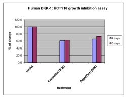 Gibco Human DKK-1 Recombinant Protein, PeproTech 50 &mu;g | Buy Online | Gibco&trade; | Fisher Scientific