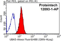 UBA5 Rabbit anti-Human, Mouse, Polyclonal, Proteintech 150 &mu;L; Unconjugated:Antibodies,