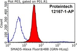 SMAD5 Rabbit anti-Human, Mouse, Rat, Polyclonal, Proteintech:Antibodies:Primary