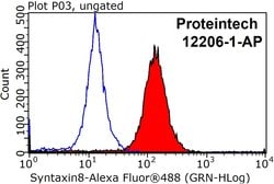 Syntaxin 8 Rabbit anti-Human, Mouse, Rat, Polyclonal, Proteintech:Antibodies:Primary