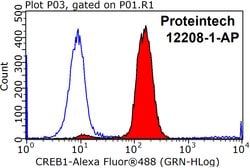CREB1 Rabbit anti-Human, Mouse, Non-human primate, Rat, Polyclonal, Proteintech:Antibodies:Primary