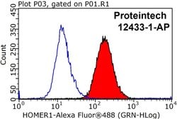 HOMER1 Rabbit anti-Human, Mouse, Rat, Polyclonal, Proteintech:Antibodies:Primary