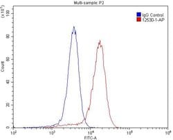 RRAS2 Rabbit anti-Human, Mouse, Polyclonal, Proteintech 150 &mu;L; Unconjugated:Antibodies,