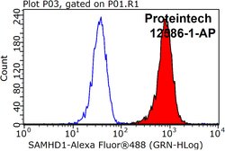 SAMHD1 Rabbit anti-Human, Mouse, Rat, Polyclonal, Proteintech:Antibodies:Primary