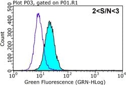 GNAI1 Rabbit anti-Human, Mouse, Rat, Polyclonal, Proteintech 20 &mu;L;