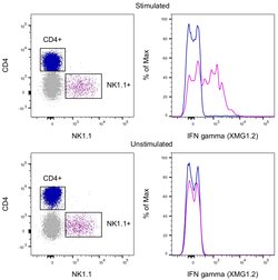 IFN gamma Monoclonal Antibody (XMG1.2), PE, eBioscience , Invitrogen:Antibodies:Primary
