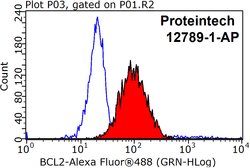 BCL2 Rabbit anti-Human, Polyclonal, Proteintech:Antibodies:Primary Antibodies