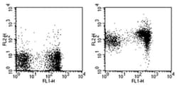 Invitrogen CD1d Monoclonal Antibody (1B1), Biotin, eBioscience , Invitrogen