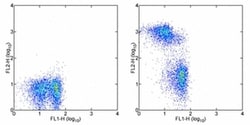 CD3 Monoclonal Antibody (eBioG4.18 (G4.18)), Biotin, eBioscience , Invitrogen:Antibodies:Primary