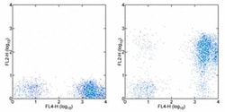 CD7 Monoclonal Antibody (eBio124-1D1 (124-1D1)), Biotin, eBioscience ,