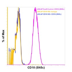 CD10 Monoclonal Antibody (SN5c), Biotin, eBioscience , Invitrogen:Antibodies:Primary