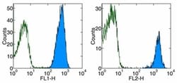 CD45 Monoclonal Antibody (30-F11), Biotin, eBioscience , Invitrogen:Antibodies:Primary