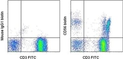 Invitrogen CD56 (NCAM) Monoclonal Antibody (CMSSB), Biotin, eBioscience