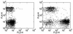 CD71 (Transferrin Receptor) Monoclonal Antibody (R17217 (RI7 217.1.4)),