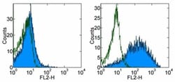 Invitrogen CD71 (Transferrin Receptor) Monoclonal Antibody (OKT9 (OKT-9)),