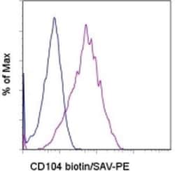 Invitrogen CD104 (Integrin beta 4) Monoclonal Antibody (439-9B), Biotin,