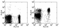 Invitrogen CD197 (CCR7) Monoclonal Antibody (4B12), Biotin, eBioscience