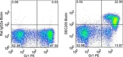 Invitrogen CD205 Monoclonal Antibody (205yekta), Biotin, eBioscience 100
