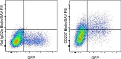 Invitrogen CD207 (Langerin) Monoclonal Antibody (eBioL31), Biotin, eBioscience