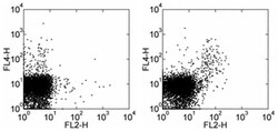 Invitrogen CD357 (AITR/GITR) Monoclonal Antibody (DTA-1), Biotin, eBioscience