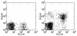 Invitrogen CD314 (NKG2D) Monoclonal Antibody (1D11), Biotin, eBioscience:Antibodies:Primary