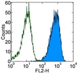 Invitrogen RAE1 gamma Monoclonal Antibody (CX1), Biotin, eBioscience 50