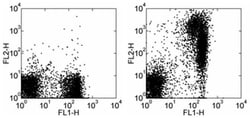 Invitrogen IgM Monoclonal Antibody (eB121-15F9), Biotin, eBioscience:Antibodies:Primary