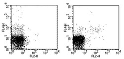 Invitrogen KLRG1 Monoclonal Antibody (2F1), Biotin, eBioscience 100 &mu;g;