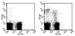 Invitrogen NKG2A/C/E Monoclonal Antibody (20d5), Biotin, eBioscience:Antibodies:Primary