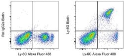Ly-6G Monoclonal Antibody (1A8-Ly6g), Biotin, eBioscience , Invitrogen