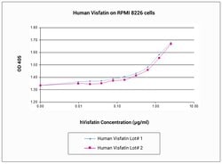 Gibco Human NAMPT Recombinant Protein, PeproTech