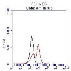 MITF Rabbit anti-Human, Mouse, Rat, Polyclonal, Proteintech:Antibodies:Primary