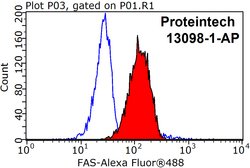 FAS/CD95 Rabbit anti-Human, Polyclonal, Proteintech 150 μL; Unconjugated:Antibodies,