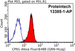 CPN1 Rabbit anti-Human, Mouse, Rat, Polyclonal, Proteintech 150 &mu;L;