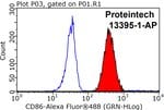 Thumbnail_CD86 Rabbit anti-Human, Polyclonal, Proteintech:Anticuerpos:Anticuerpos
