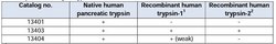 Trypsin Monoclonal Antibody (TRYP10-104.1), QED Bioscience:Antibodies:Primary