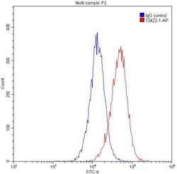 PPP3CA Rabbit anti-Human, Mouse, Polyclonal, Proteintech 150 &mu;L; Unconjugated:Antibodies,