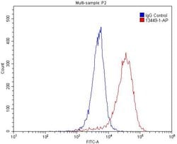 PDGFRB Rabbit anti-Human, Mouse, Rat, Polyclonal, Proteintech:Antibodies:Primary