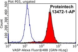 VASP Rabbit anti-Human, Mouse, Rat, Polyclonal, Proteintech 150 &mu;L;