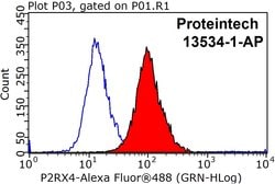 P2RX4 Rabbit anti-Human, Mouse, Polyclonal, Proteintech 150 &mu;L; Unconjugated:Antibodies,