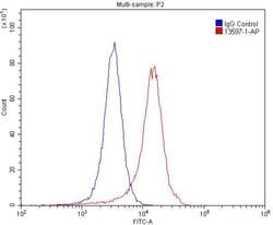 GRIK2 Rabbit anti-Human, Mouse, Rat, Polyclonal, Proteintech:Antibodies:Primary