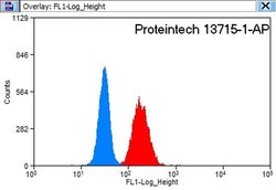 LSS Rabbit anti-Human, Mouse, Rat, Polyclonal, Proteintech:Antibodies:Primary